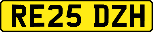 RE25DZH