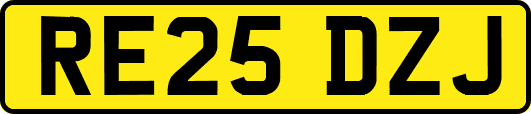 RE25DZJ