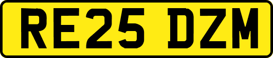 RE25DZM