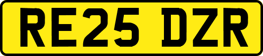RE25DZR