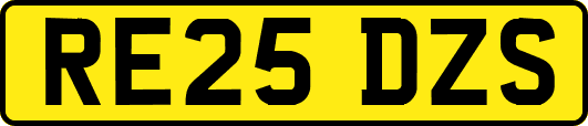 RE25DZS