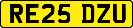 RE25DZU