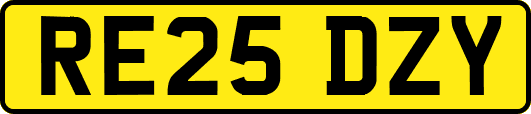 RE25DZY