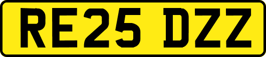 RE25DZZ