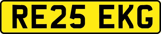 RE25EKG