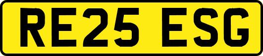 RE25ESG