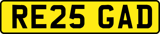 RE25GAD