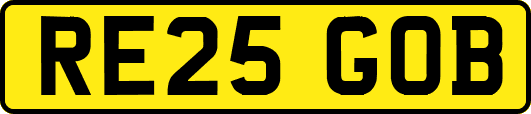 RE25GOB