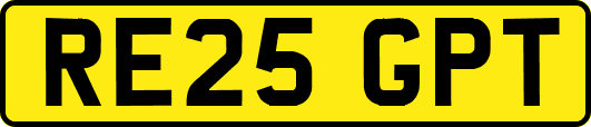 RE25GPT
