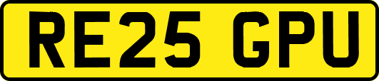 RE25GPU