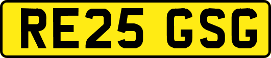 RE25GSG