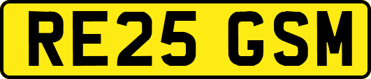 RE25GSM