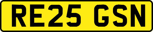 RE25GSN