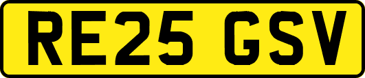 RE25GSV