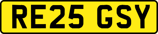 RE25GSY