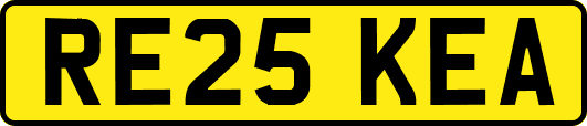 RE25KEA