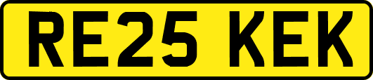 RE25KEK