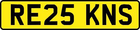 RE25KNS