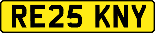 RE25KNY