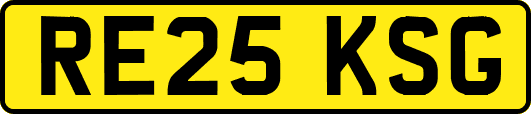 RE25KSG