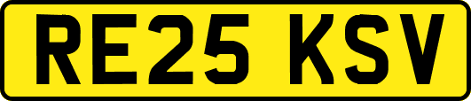 RE25KSV