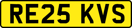 RE25KVS