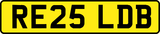 RE25LDB