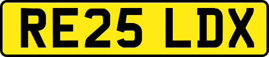 RE25LDX