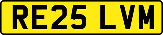 RE25LVM