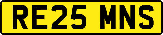 RE25MNS