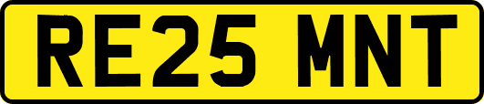 RE25MNT