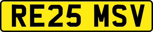 RE25MSV