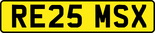 RE25MSX