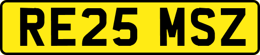 RE25MSZ
