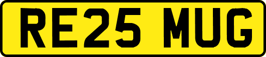 RE25MUG