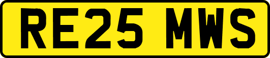 RE25MWS