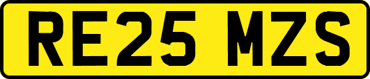 RE25MZS