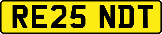 RE25NDT