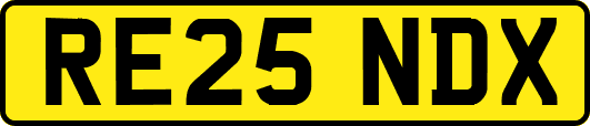 RE25NDX