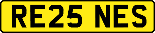 RE25NES