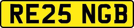 RE25NGB