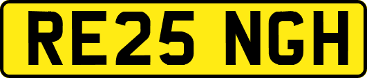 RE25NGH