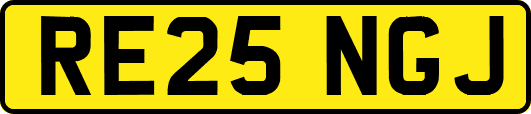RE25NGJ