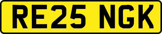 RE25NGK