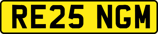 RE25NGM