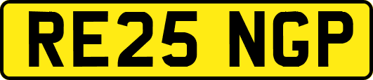 RE25NGP