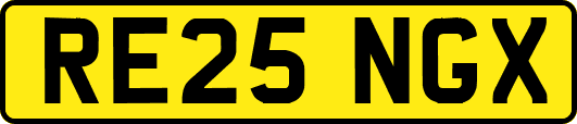 RE25NGX
