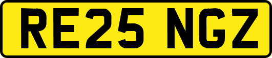 RE25NGZ