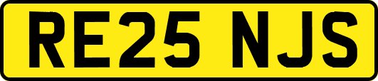 RE25NJS