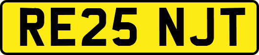 RE25NJT